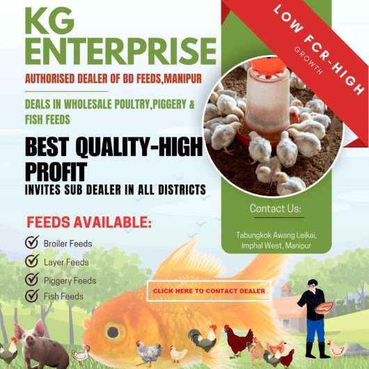 KG Enterprise – Inviting Sub Dealers for Poultry, Piggery and Fish Feeds across all areas of Manipur